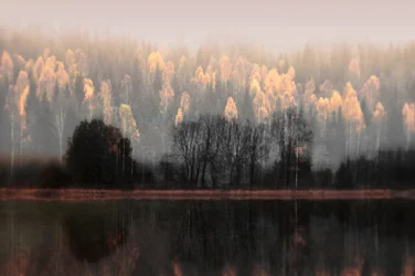 Reflets brumeux d