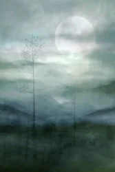 Forêt brumeuse au clair de lune
