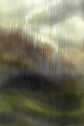 La forêt de Misty Mountain