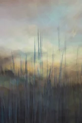 Les roseaux de Serene Marsh
