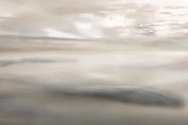 Chant du cygne à la brume