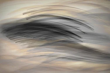 Le langage des lignes