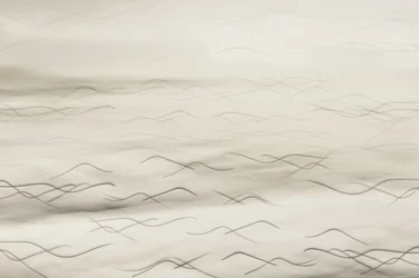 Motifs ondulés dans le sable