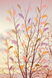 Branches printanières fantaisistes