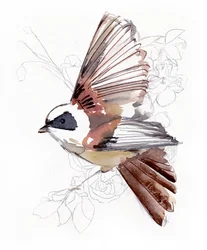 Oiseau aquarellé en plein vol