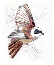 Oiseau aquarellé en plein vol