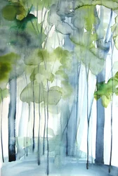 Forêt verte brumeuse