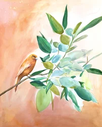 Un oiseau orange sur une branche