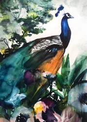 Vibrant jardin de paons