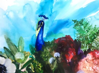 Vibrant jardin de paons