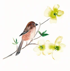 Oiseaux et fleurs à l
