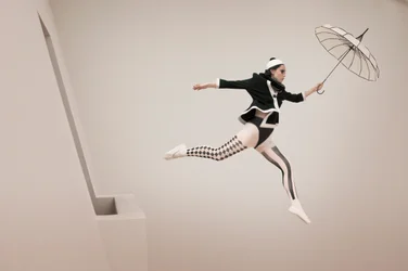 Le vol fantaisiste de l