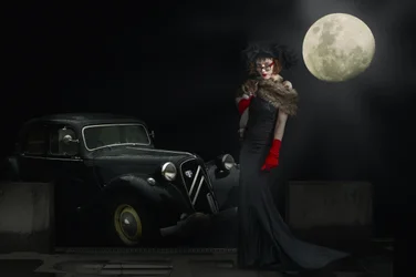 Élégance noire au clair de lune