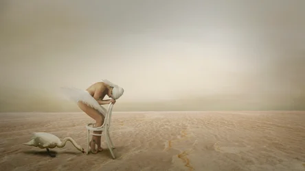 La solitaire danseuse du cygne