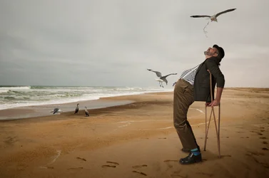 Une rencontre insolite sur la plage