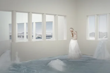 Une femme dans une pièce arctique