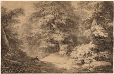 Bois de hêtres avec un voyageur se reposant