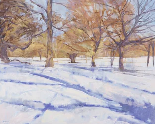 Hiver, Richmond Park
