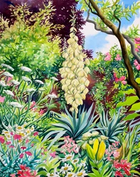 Jardin avec yucca en fleurs
