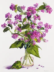 Honnêteté