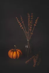 Nature morte automnale sombre