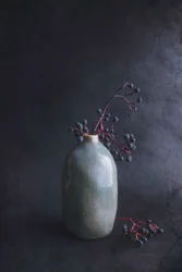 Baies foncées dans un vase