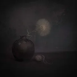 Nature morte sombre au pissenlit