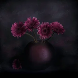 Nature morte sombre aux gerberas