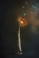 Papillons de fleurs lumineux
