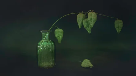 Nature morte à la feuille verte
