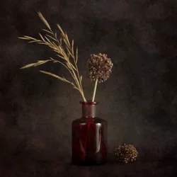 Plantes séchées évocatrices