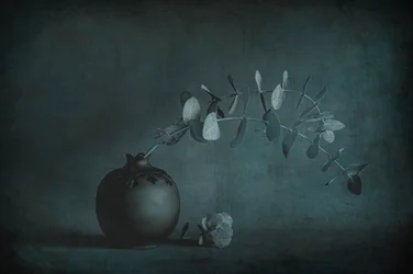 Nature morte mélancolique à l