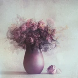 Grâce florale feutrée
