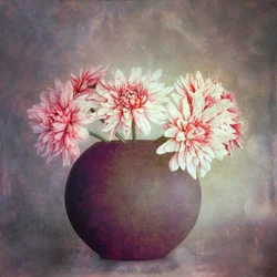Nature morte florale rose tendre