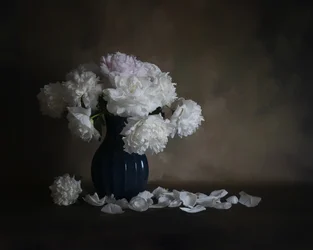 Nature morte aux pivoines blanches