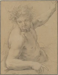 Faune allongé