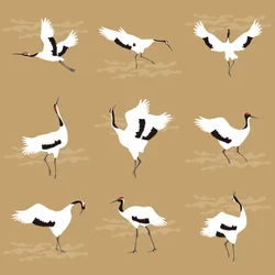grues orientales