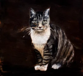 Élégant chat tigré