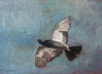 Un pigeon en plein vol