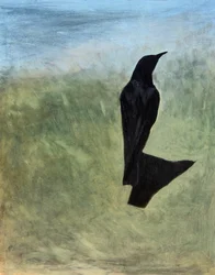 Silhouette d