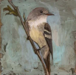 Oiseau immobile sur une branche