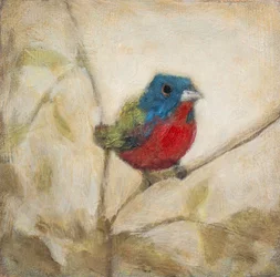 Le bruant peint