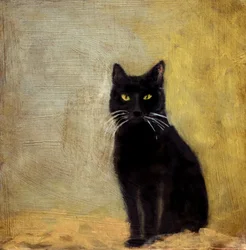 Pauvre chat