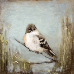 Un oiseau tranquille sur une branche