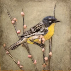 Paruline jaune sur une branche