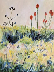 Fleurs sauvages estivales aux couleurs chatoyantes