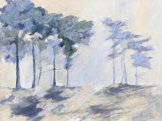 Les arbres de la forêt brumeuse