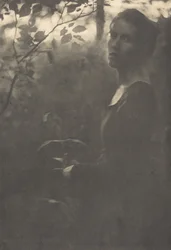 Bord de la forêt, soir, 1900