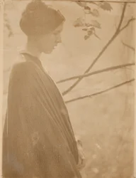 Lumière du soleil