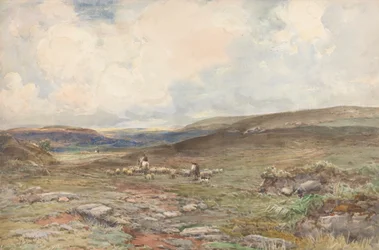 Lande avec moutons et berger